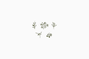 5 pictogrammes de fleurs verte sur fond blanc