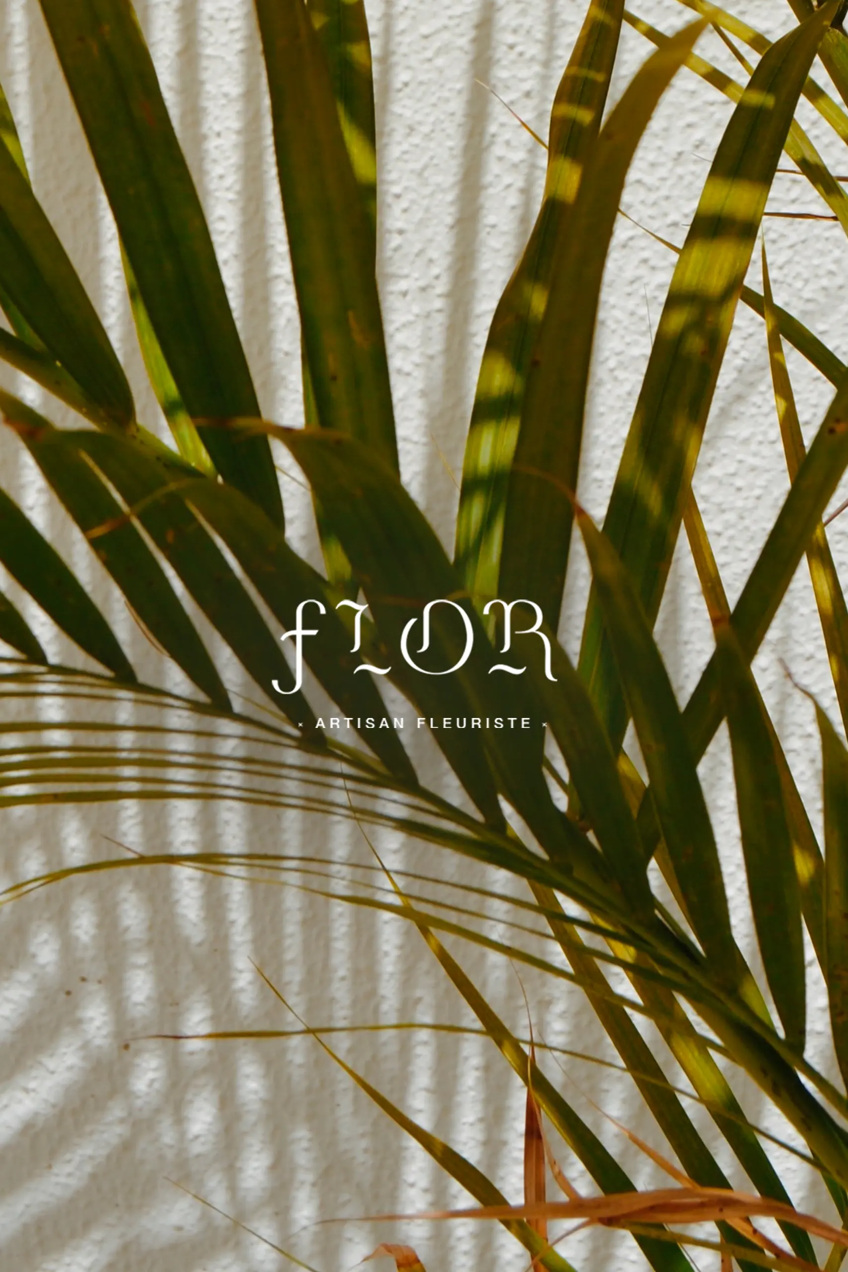Logo blanc du fleuriste Flor en arrière plan on retrouve une photo de feuille de palmier